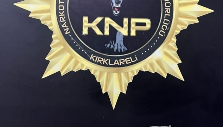 Kırklareli’nde 450 gram bonzai ele geçirildi: 1 kişi tutuklandı