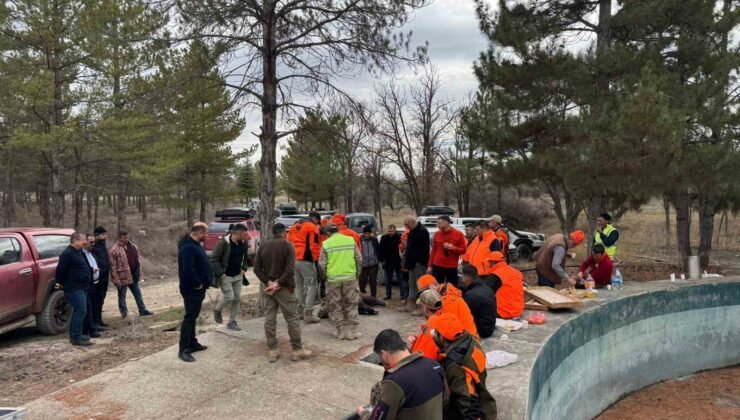 Konya’da yaban domuzlarına sürek avı düzenlendi