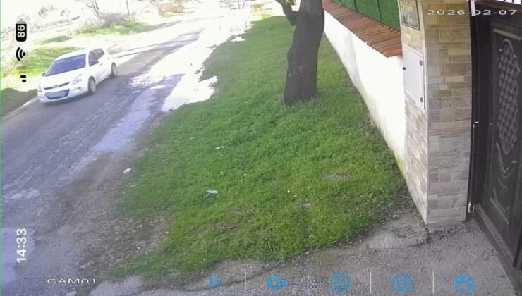 Köpeği çalınan vatandaştan hırsıza çağrı