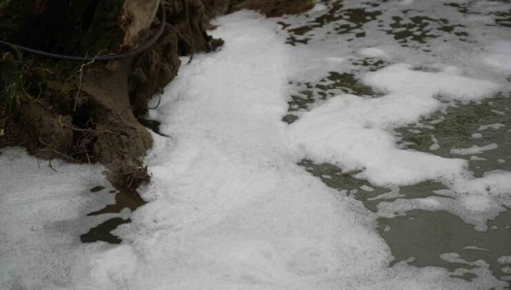 Köpüren dereden ağır kokular yükseliyor