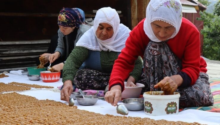 Köyde  üretilen keş adeta bir  enerji deposu