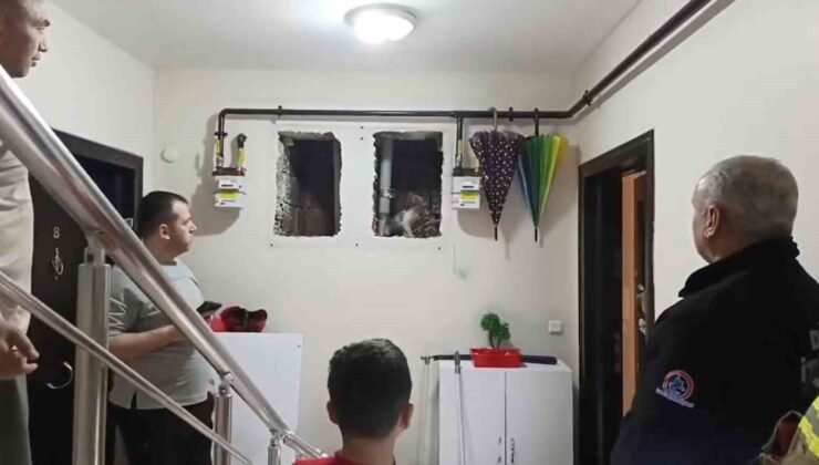 Küçük Yaser Kaan’ın dikkati kediyi kurtardı