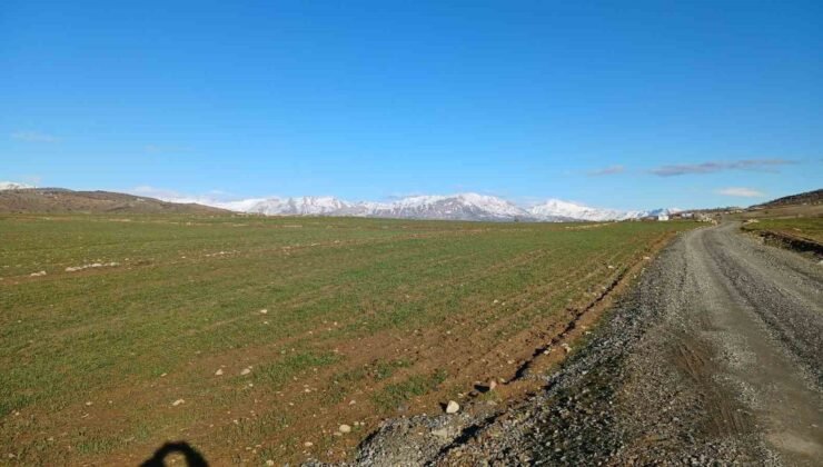 Kulp’ta yağışlar çiftçinin umudu arttı