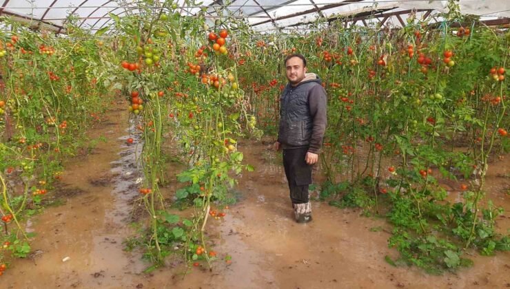 Kumluca’da hortum seraları parçaladı