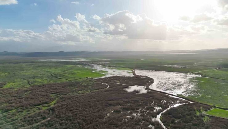 Kuruyan Marmara Gölü’ne yeniden su girişi başladı
