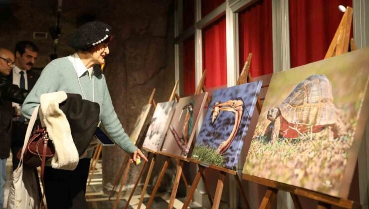 Kuş Cenneti’nden muhteşem kareler TBMM yolunda