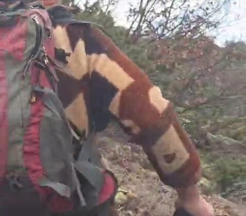 Kuş gözlemi için çıktığı arazide ayı ile karşı karşıya kaldı… Korku dolu anlar kamerada