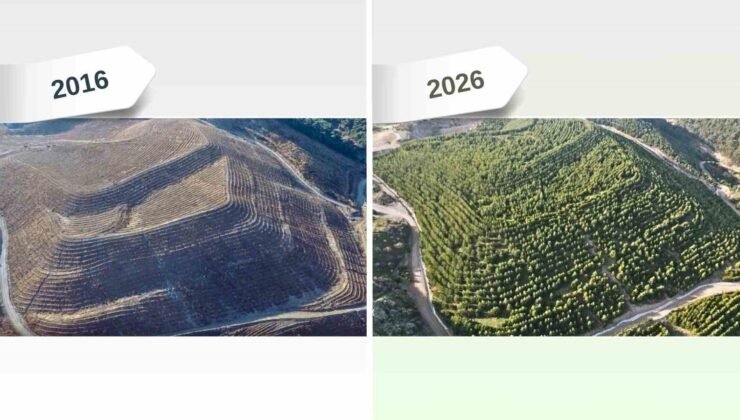 Maden sahaları rehabilitasyonla yeniden yeşeriyor