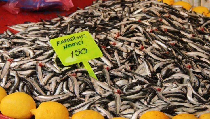 Menteşe pazarında hamsi ucuzladı