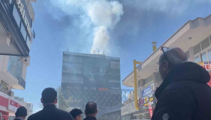 Mersin’de baca yangını korkuttu