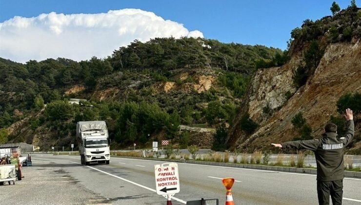 Mersin’de orman suçlarına eş zamanlı denetim