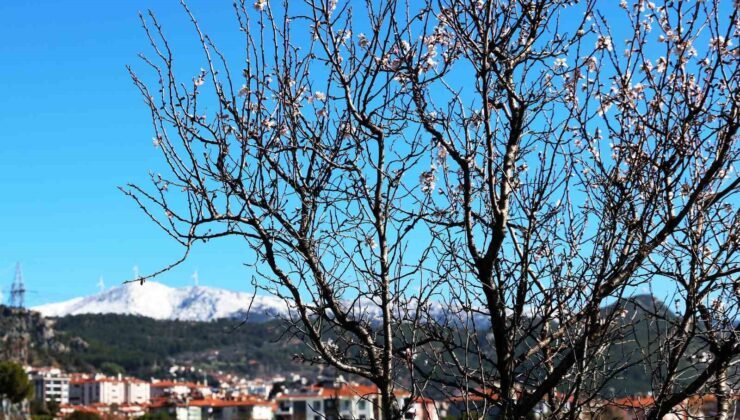Muğla’da kış ve bahar aynı karede