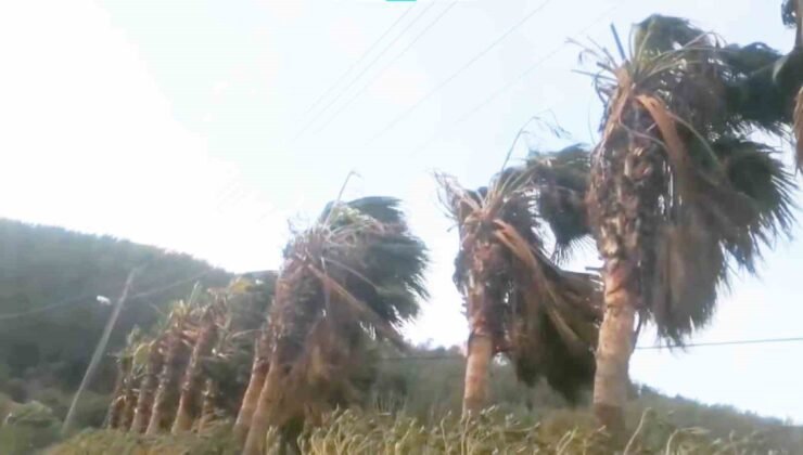 Muğla’nın Kuzey bölümleri için fırtına uyarısı