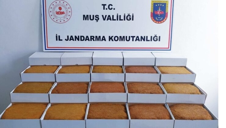 Muş’ta 45 kilo kaçak tütün ele geçirildi