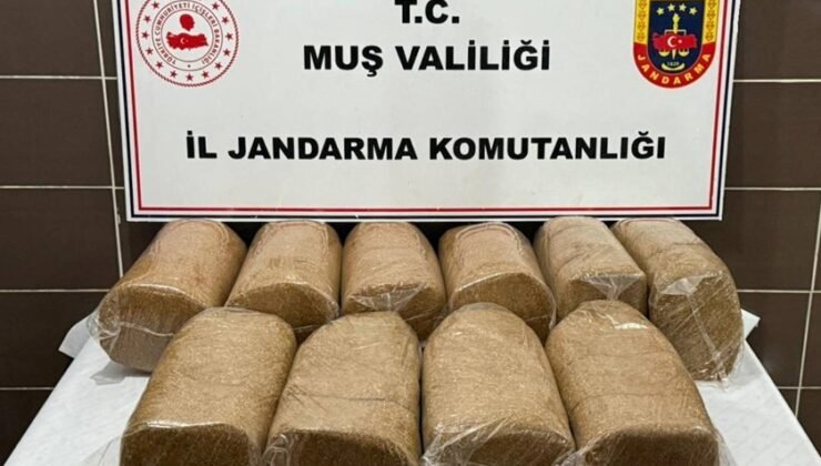 Muş’ta 50 kilo kaçak tütün ele geçirildi