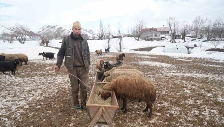Muş’ta kış ve bahar aynı anda yaşanıyor