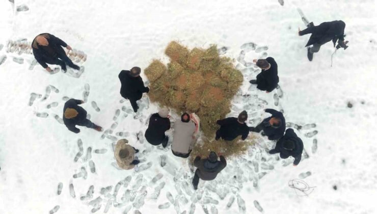 Muş’ta yaban hayatı için doğaya yem bırakıldı