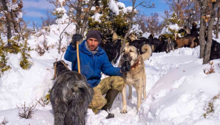 Öldürülen köpeğine otopsi yaptırdı, sorumluların bulunmasını istiyor