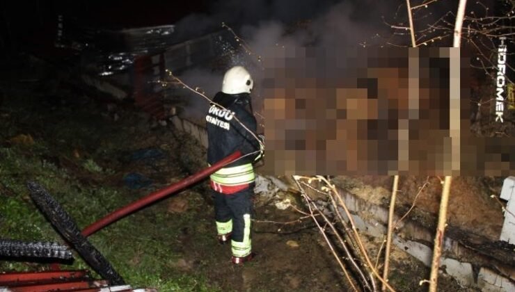 Ordu’da ahır yangını: 27 büyükbaş hayvan telef oldu