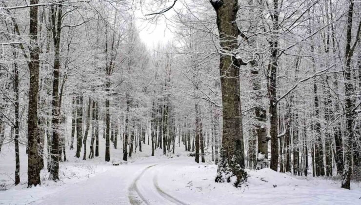 Ordu’nun 15 ilçesinde eğitime kar engeli