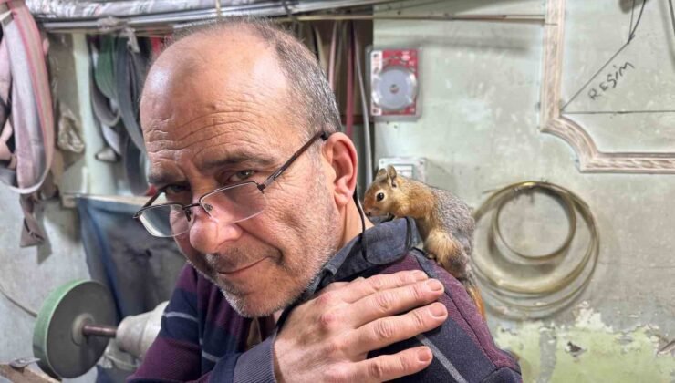 Ormanda bulduğu sincap en yakın dostu oldu