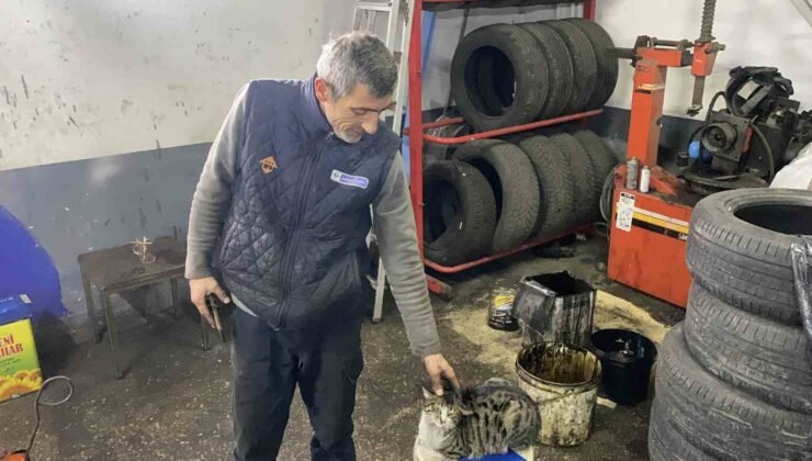 Oto tamircisinin en sadık çırağı “Şıkkıdı” oldu