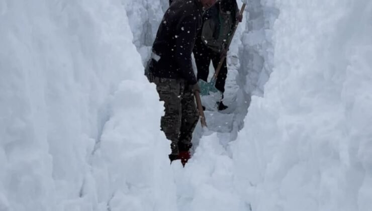 Ovacık’ta besicilerin zorlu kış mesaisi: Hayvanları suya götürmek için metrelerce kalınlıktaki karı kürekle temizlediler