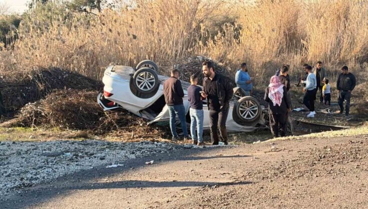 Pamuk sapları sürücünün hayatını kurtardı