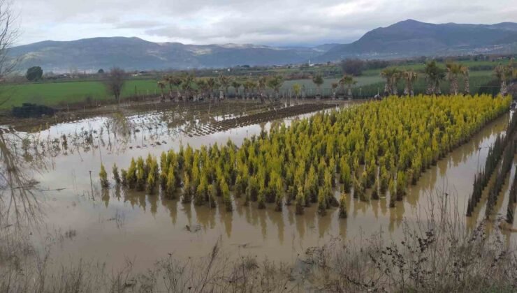 Sağanak yağış Ödemiş’te zarara neden oldu