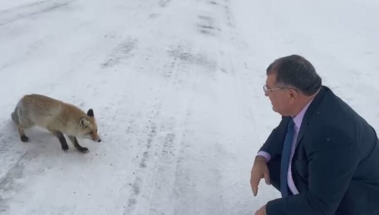 Sahara Geçidi’nde karşılaştığı tilkiye yiyecek verdi