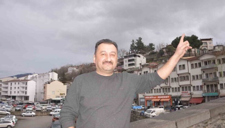 Şahin’in havadaki güvercin avı