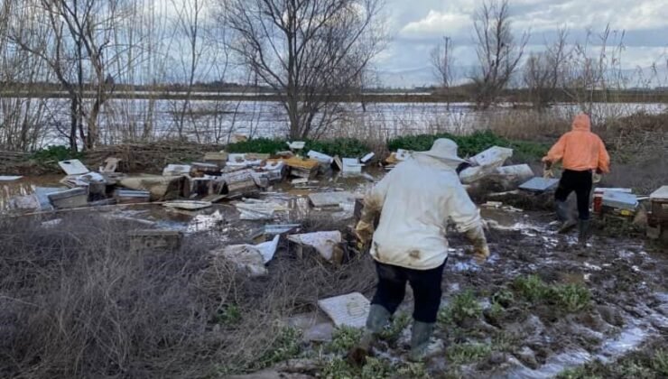 Salihli’de 103 kovan arı sele kapıldı