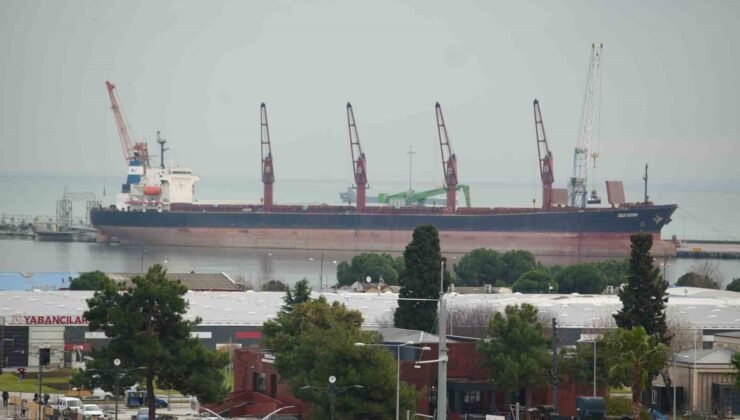 Samsun gümrüğünden en çok meyve ihraç edildi, motorin ithal edildi