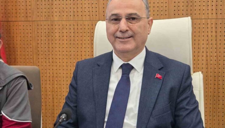 Samsun’da konteynerde bulunan 9 köpekle ilgili rapor açıklandı: “Doğal ölüm”