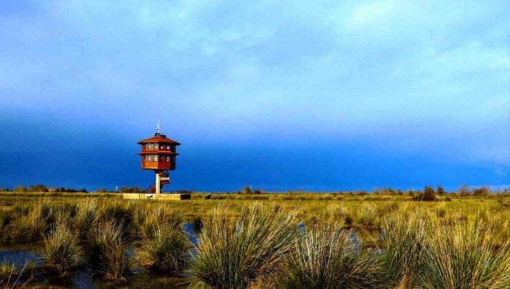 Samsun’da tabiat parklarını 186 bin 271 kişi gezdi