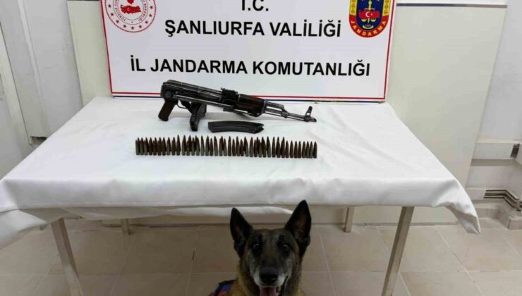 Şanlıurfa’da uzun namlulu silah ele geçirildi: 1 gözaltı