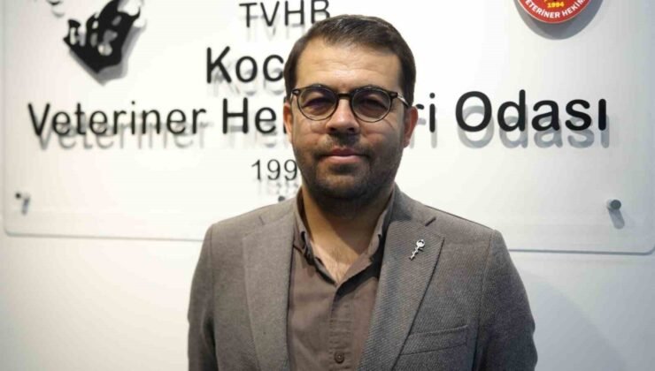 Şap hastalığıyla mücadele aşılama programı başladı