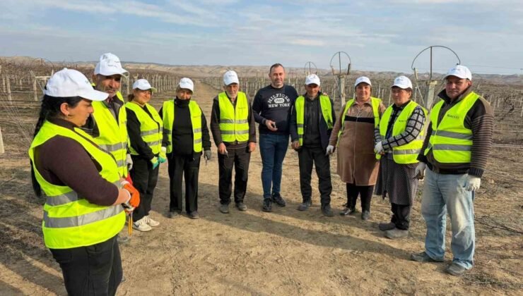 Sarıgöllü ziraat mühendisi Azerbaycan’da bağ budama tekniklerini öğretti
