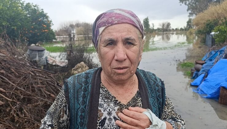 Selde mahsur kalan köpeği AKOM ekipleri kurtardı