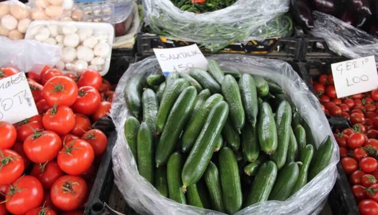 Seralar zarar gördü, Muğla’da salatalık rekor fiyata ulaştı