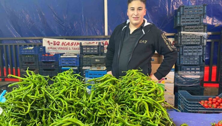 Seraları su basınca sivri biber ve salatalığın ateşi yükseldi