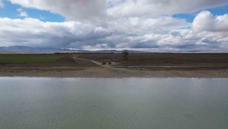 Seyfe Gölü’nde flamingo cümbüşü havadan görüntülendi