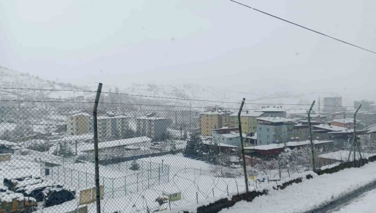 Siirt’te 3 ilçede eğitime kar engeli