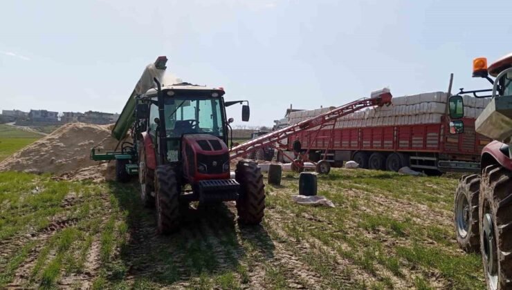 Siirt’te silahla oynayan kişi kazara kendini vurdu