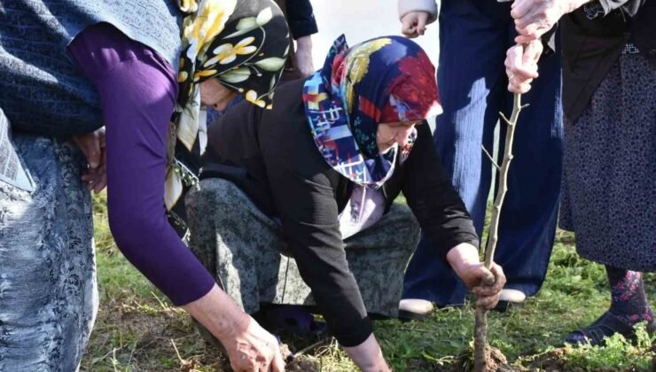 Sinop’ta kuşaklar arası gönül köprüsü fidanlarla kuruldu