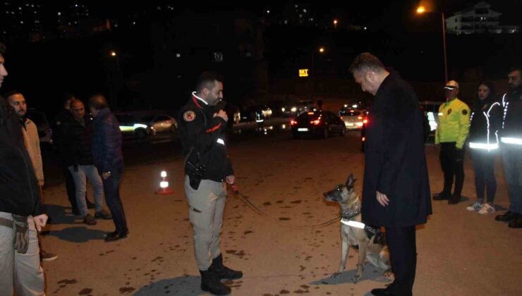 Şırnak’ta 700 polisin katılımı ile “Narko Alan” uygulaması