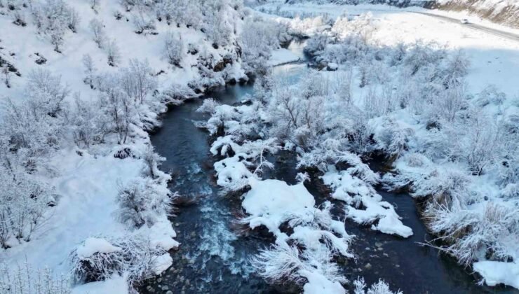 Şırnak’ta beyaza bürünen dağ ve ağaçlar göz kamaştırdı