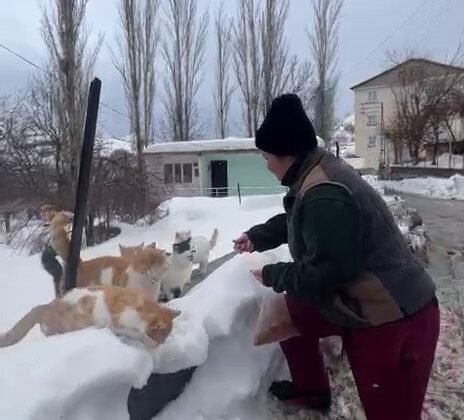 Sokak hayvanlarını beslemek için her yıl bin 400 kilometre yol geliyor