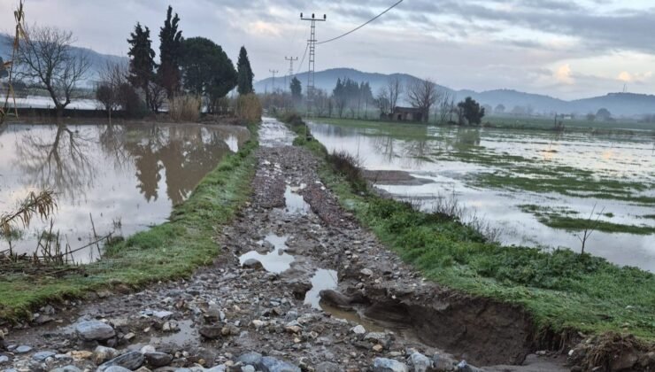 Söke’de aşırı yağışlar sonrası tarım alanlarında hasar tespiti