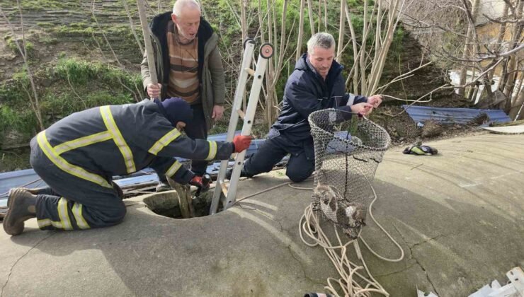 Su deposuna düşen yavru köpek 6 saat sonra kurtarıldı